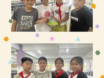 指尖跃动，“豆”趣横生！——塘桥中心小学2025年劳动节主题活动